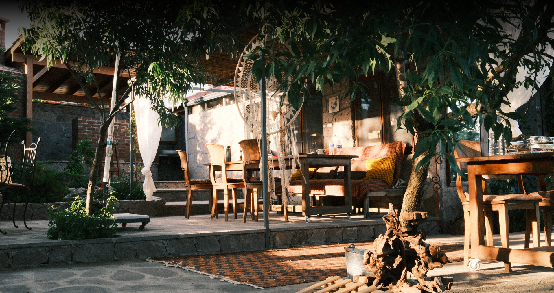 Assos sabahı — Ege kıyısı ve zeytin bahçeleri